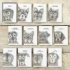 'You'Ll Never Walk Alone' Dog Card>East of India Flash Sale