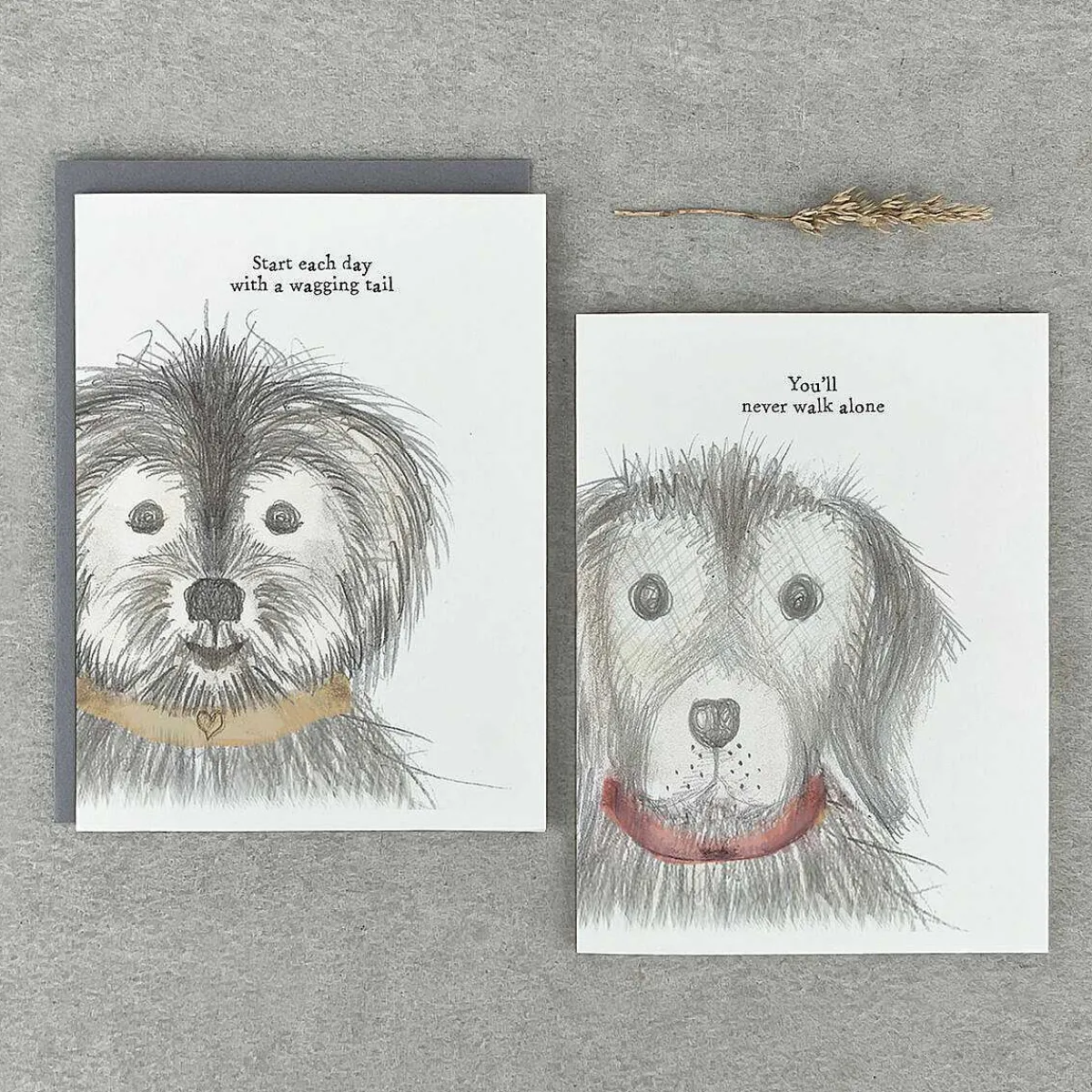 'You'Ll Never Walk Alone' Dog Card>East of India Flash Sale