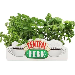 Central Perk Tabletop Planter><noscript><img width=