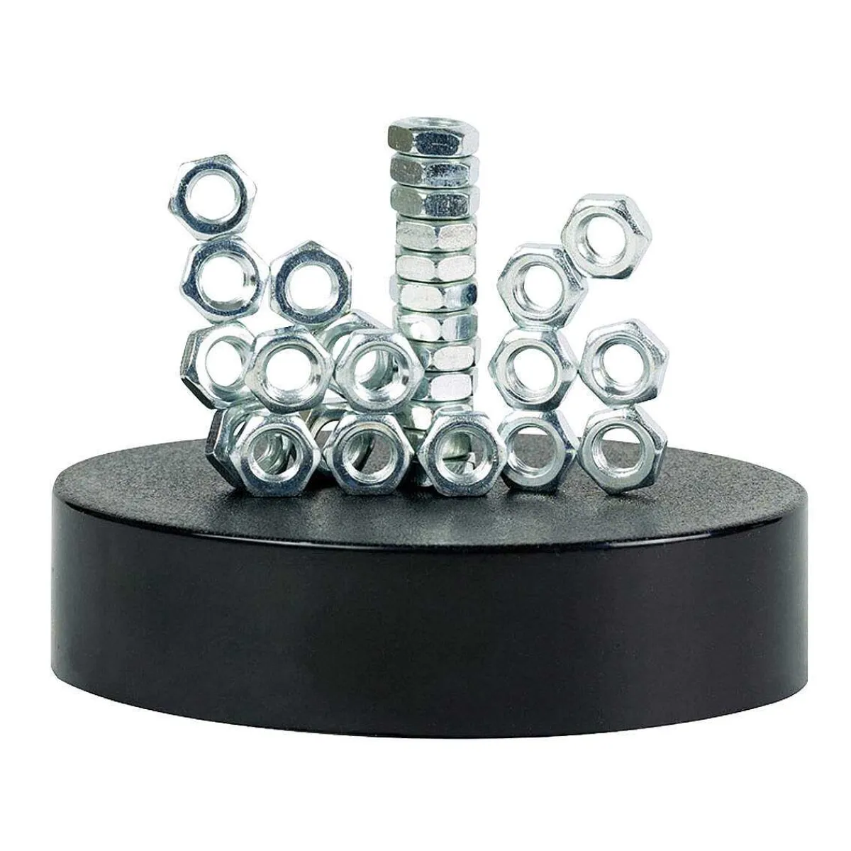 Magnetic Sculpture>Funtime Fashion