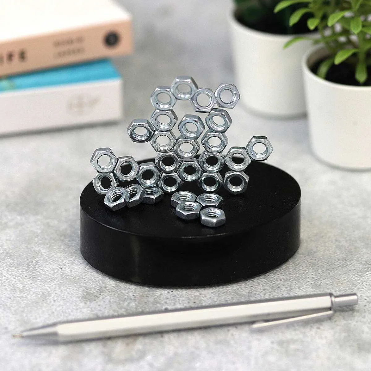 Magnetic Sculpture>Funtime Fashion