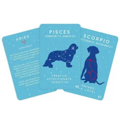 100 Paw-Mistry Dog Edition>Gift Republic Clearance