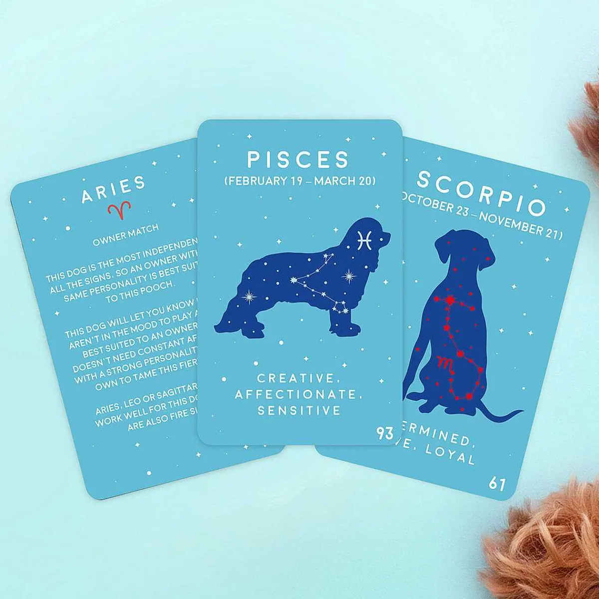 100 Paw-Mistry Dog Edition>Gift Republic Clearance