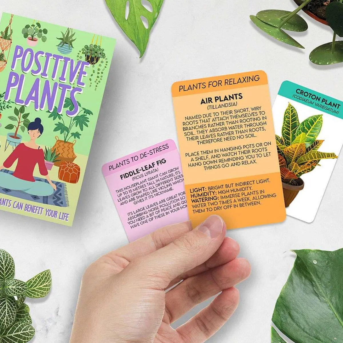 100 Positive Plant Cards>Gift Republic Cheap