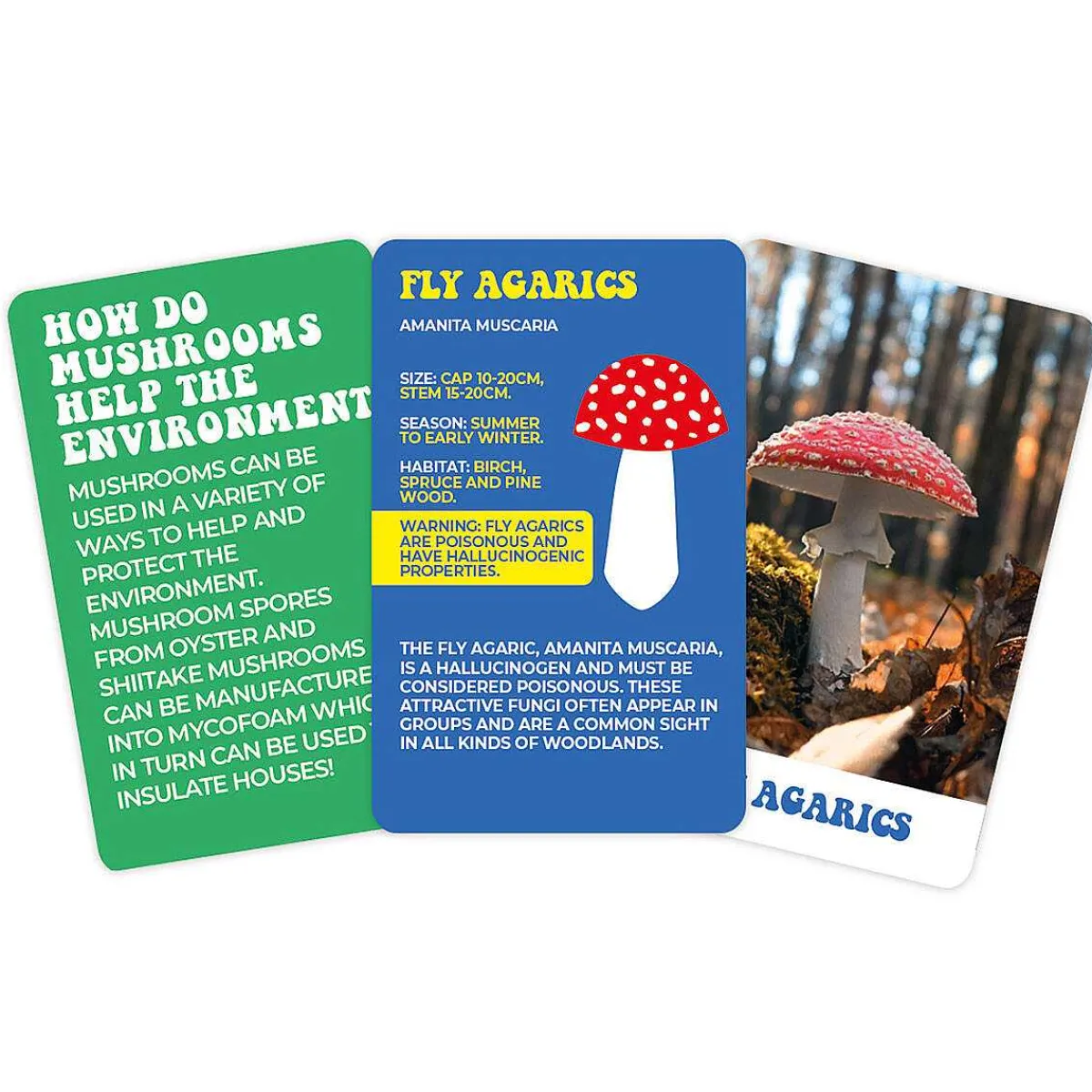 100 Wonderful World Of Mushrooms Cards>Gift Republic Best