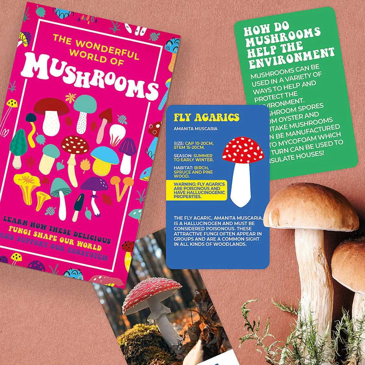 100 Wonderful World Of Mushrooms Cards>Gift Republic Best