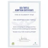 Adopt A Sea Turtle>Gift Republic Shop