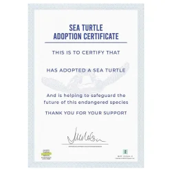 Adopt A Sea Turtle>Gift Republic Shop