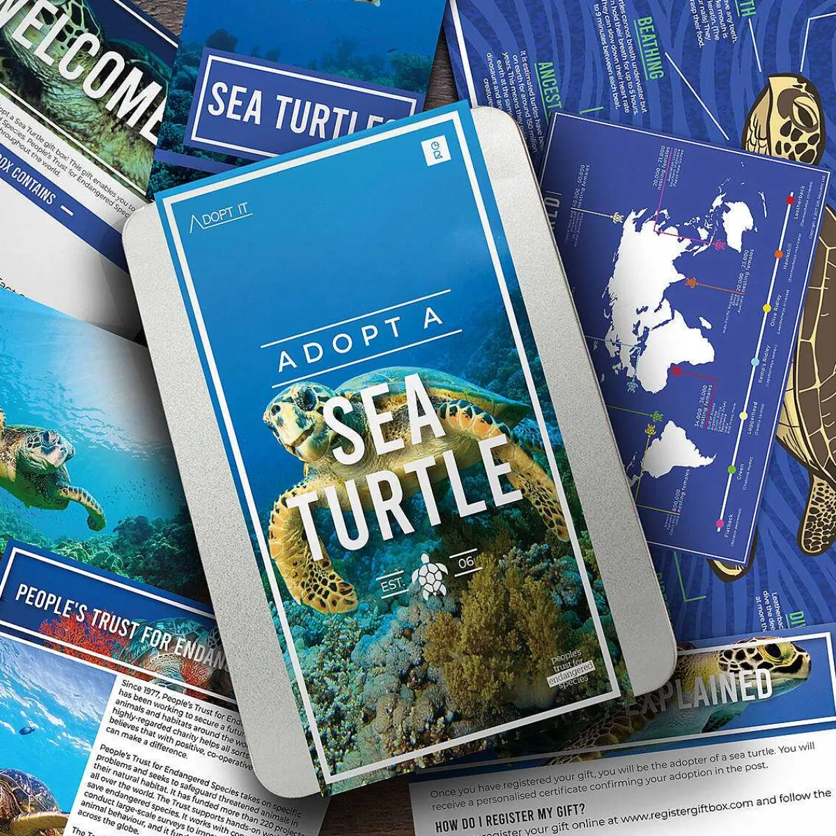 Adopt A Sea Turtle>Gift Republic Shop