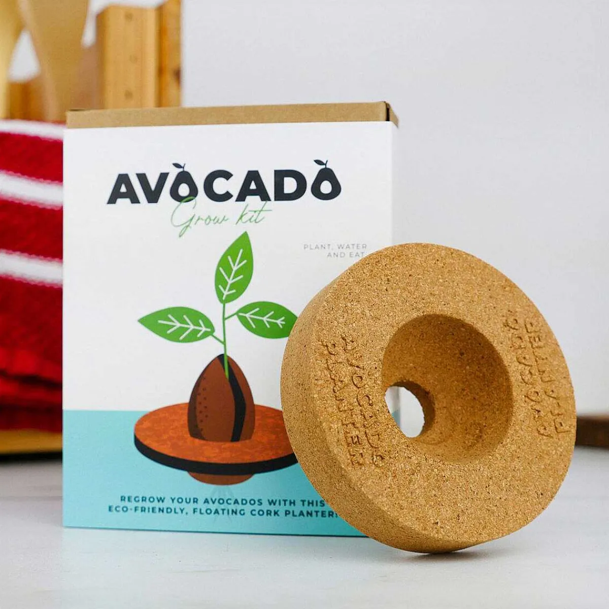 Avocado Grow Kit>Gift Republic Shop