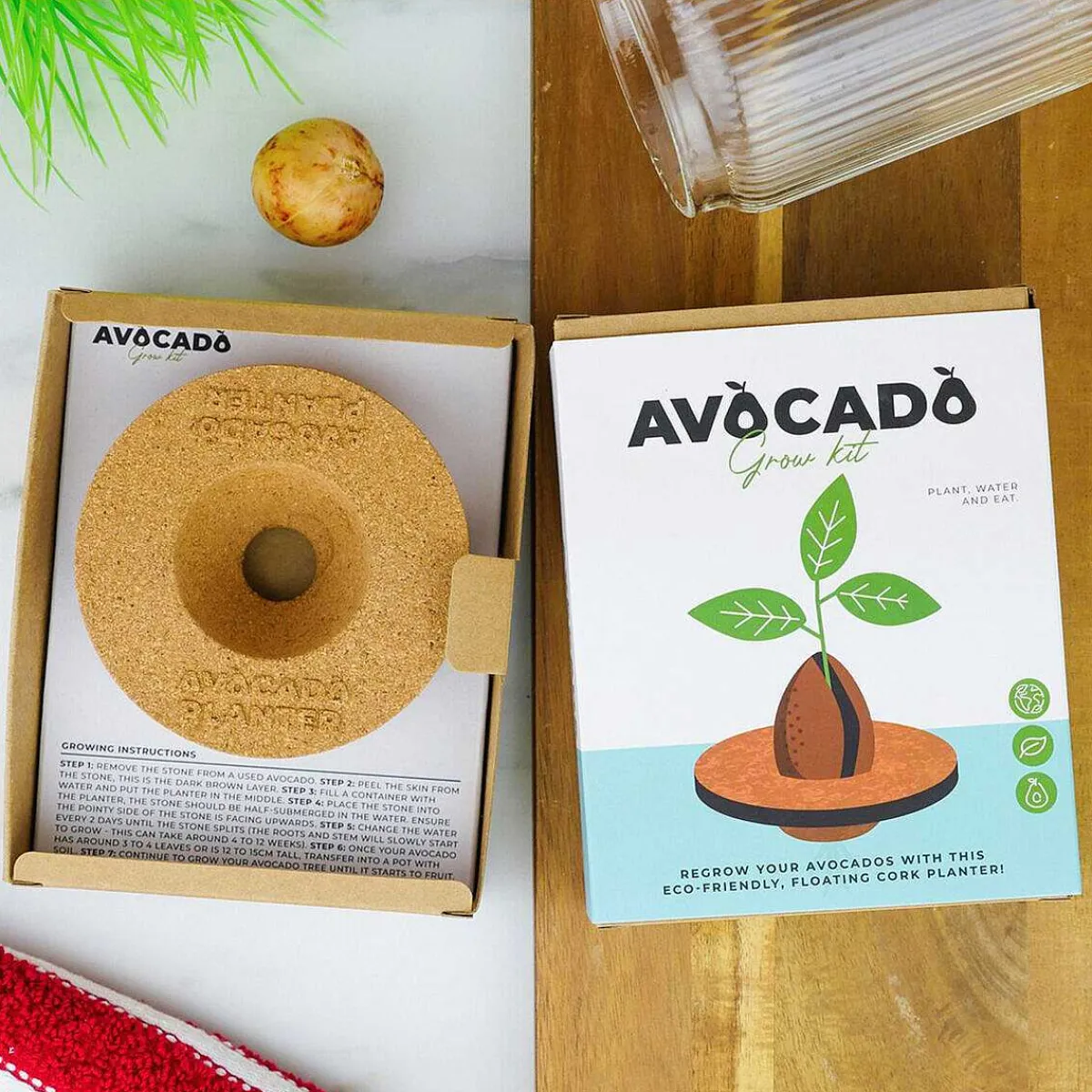 Avocado Grow Kit>Gift Republic Shop