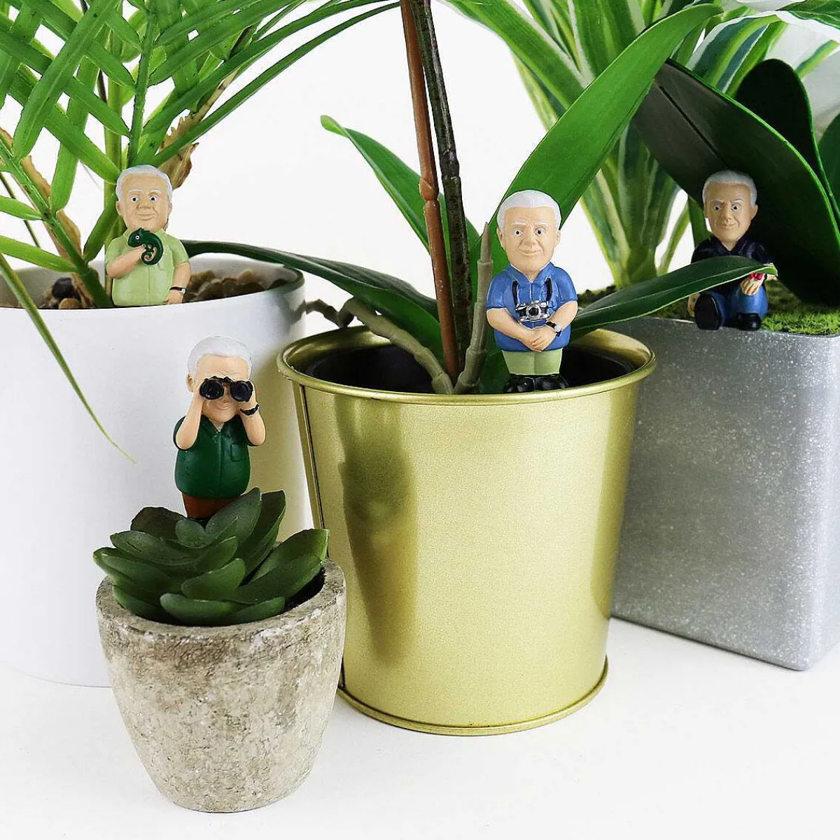 Plant Pot Attenborough Explorers>Gift Republic Flash Sale