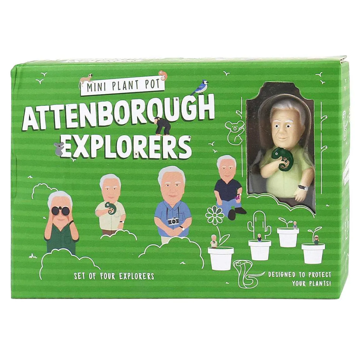Plant Pot Attenborough Explorers>Gift Republic Flash Sale