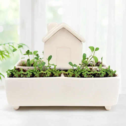 Self Watering House>Gift Republic Shop