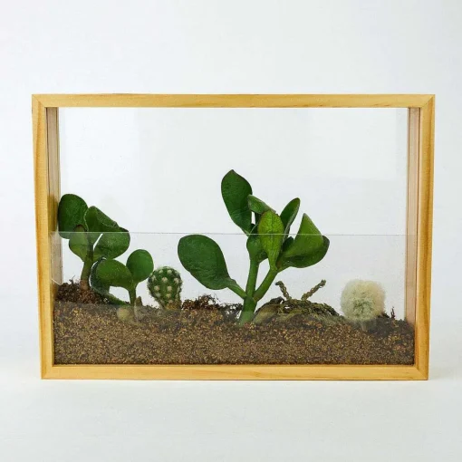 Vertical Garden Diy Kit>Gift Republic Cheap