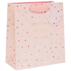 'Welcome To The World' Pink Medium Gift Bag>Glick Outlet