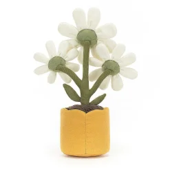 Amuseable Daisy><noscript><img width=