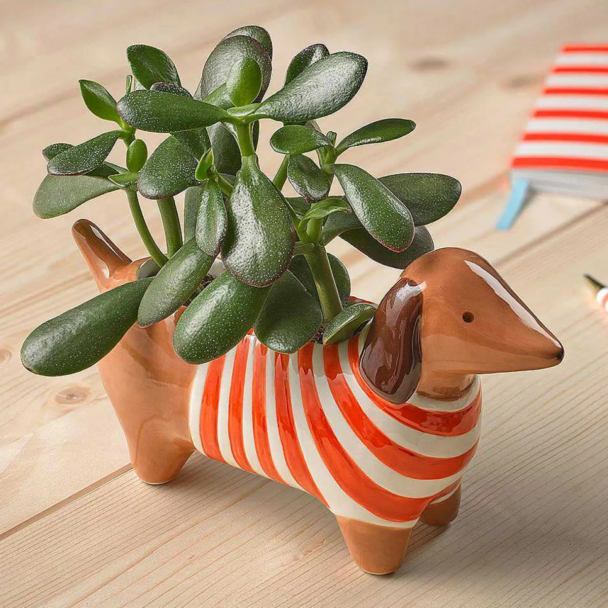 The Bright Side Dachshund Plant Pot>Joules Outlet