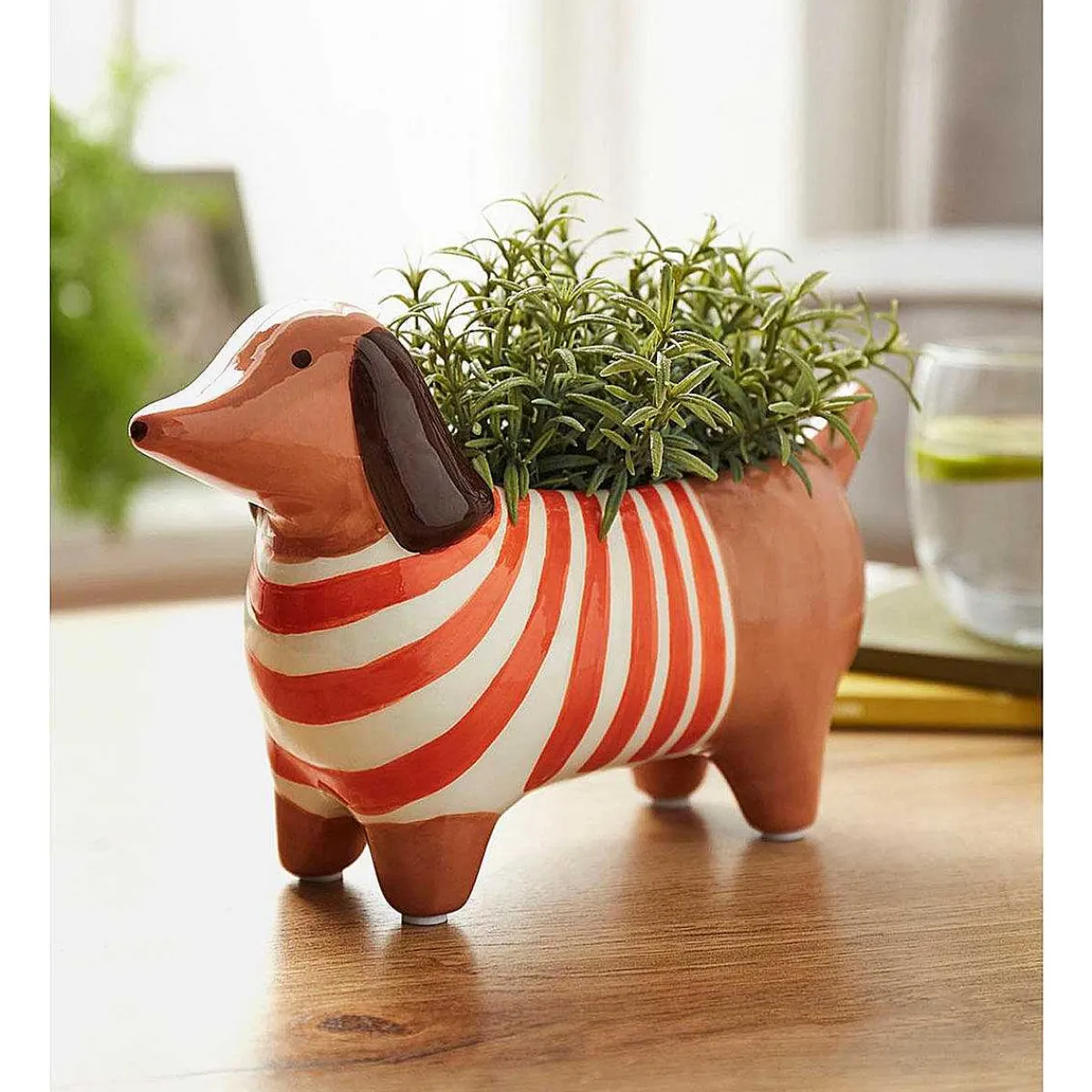 The Bright Side Dachshund Plant Pot>Joules Outlet