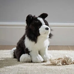 Border Collie Dog>Living Nature Store