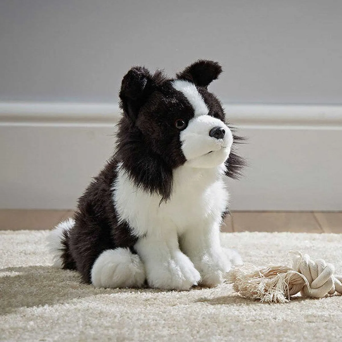 Border Collie Dog>Living Nature Store