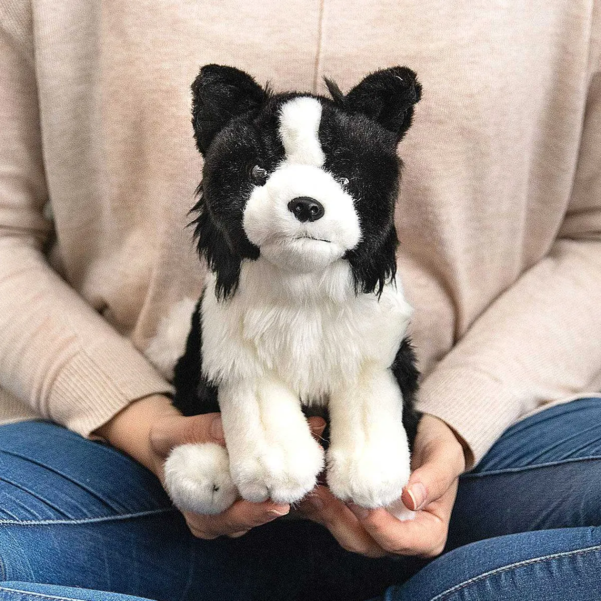 Border Collie Dog>Living Nature Store