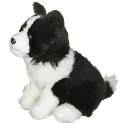 Border Collie Dog><noscript><img width=