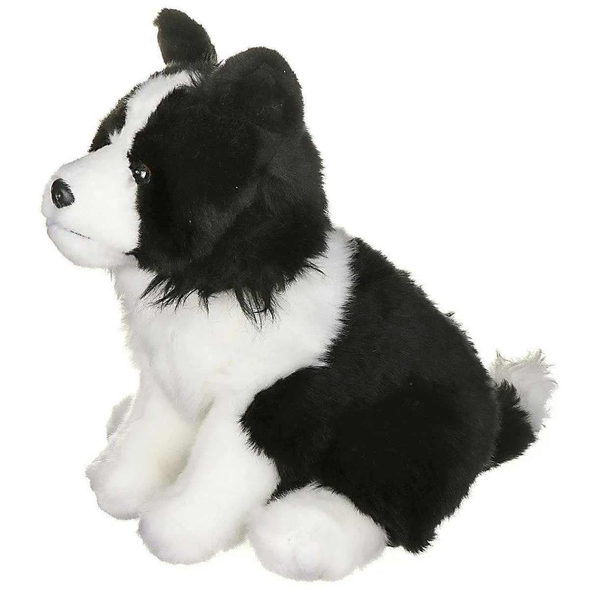 Border Collie Dog>Living Nature Store