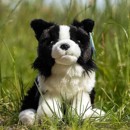 Border Collie Dog>Living Nature Store