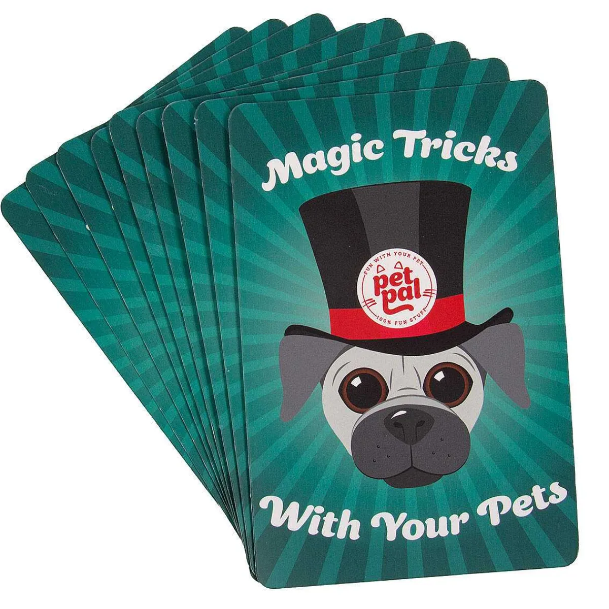 Magic Tricks With Your Pet>Temptation Gifts Fashion