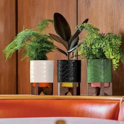 Debossed Sixties Stem Black Ceramic Plant Pot><noscript><img width=