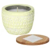 Sonora 85G Fresh Meyer Lemon Concrete Soy Candle>Paddywax Online