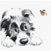 Collie & Butterfly Square Greetings Card>Paper Shed Designs Flash Sale