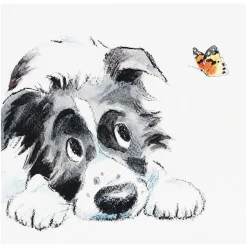 Collie & Butterfly Square Greetings Card>Paper Shed Designs Flash Sale