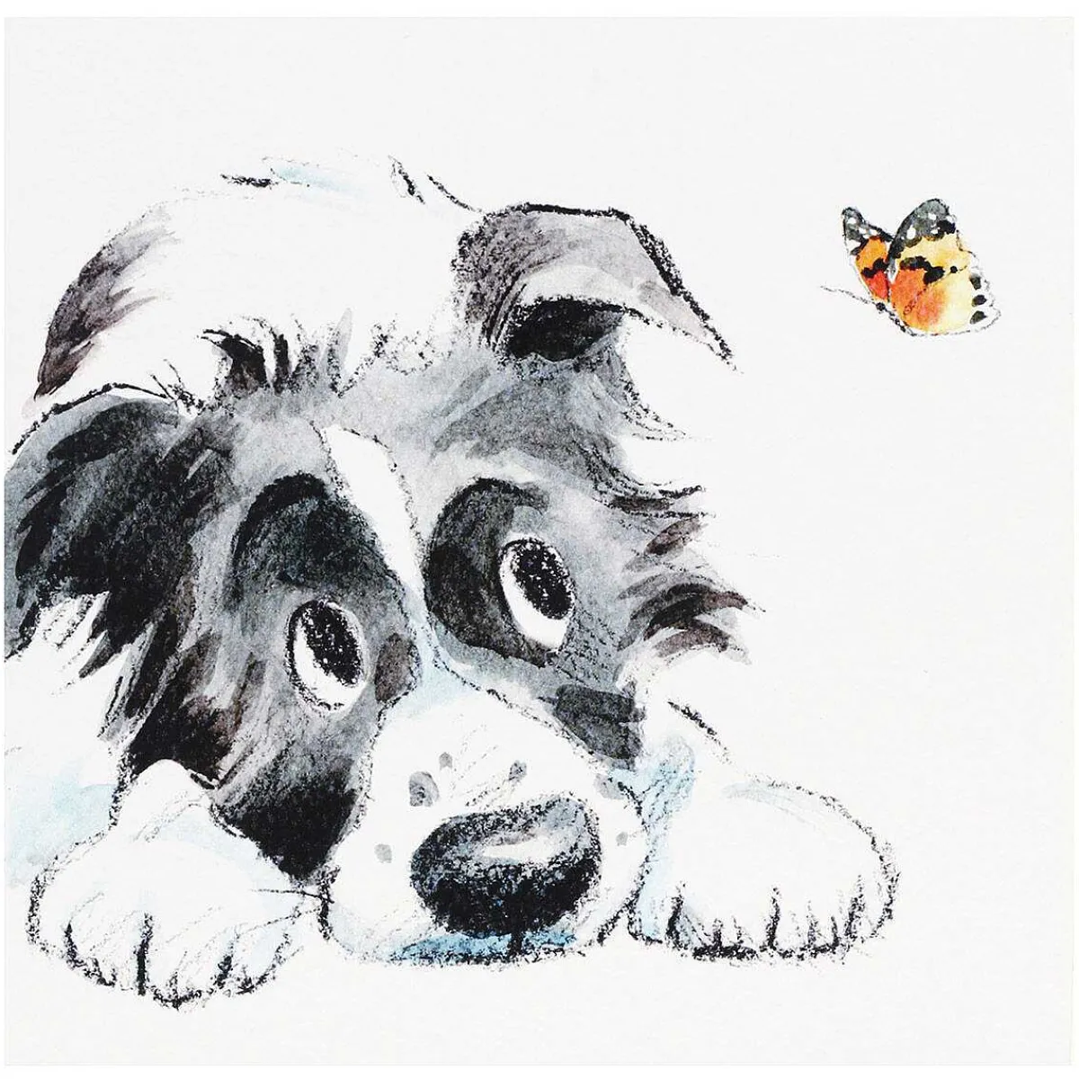 Collie & Butterfly Square Greetings Card>Paper Shed Designs Flash Sale