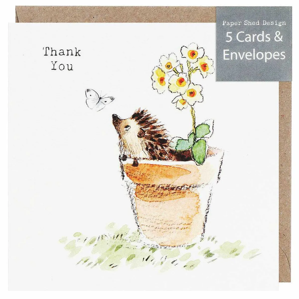 Hedgehog In Flower Pot 'Thank You' Pack Of 5 Notecards>Paper Shed Designs Cheap