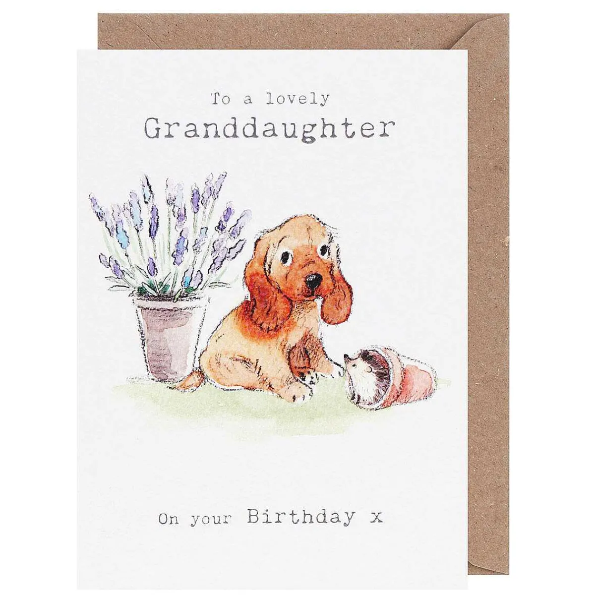 Puppy & Hedgehog 'Granddaughter' Birthday Card>Paper Shed Designs Clearance