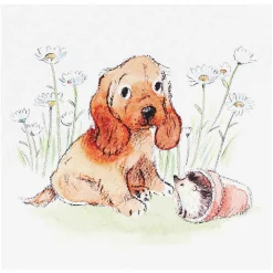 Puppy & Hedgehog Square Greetings Card>Paper Shed Designs Cheap