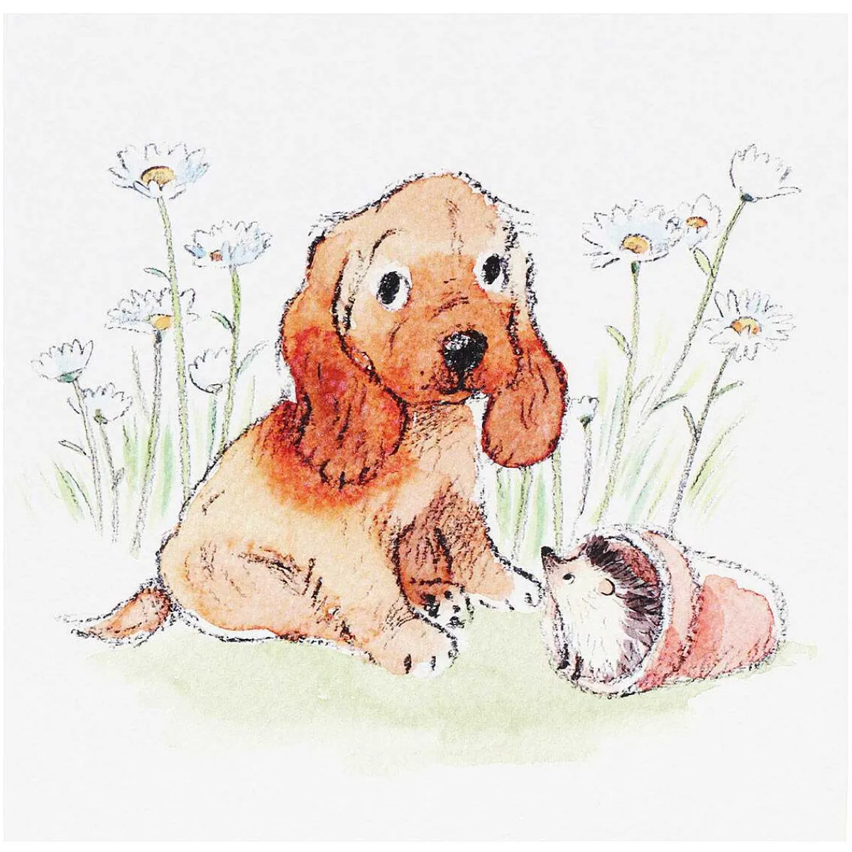 Puppy & Hedgehog Square Greetings Card>Paper Shed Designs Cheap