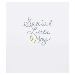 Mimosa Special Little Boy New Baby Card>Paperlink Discount