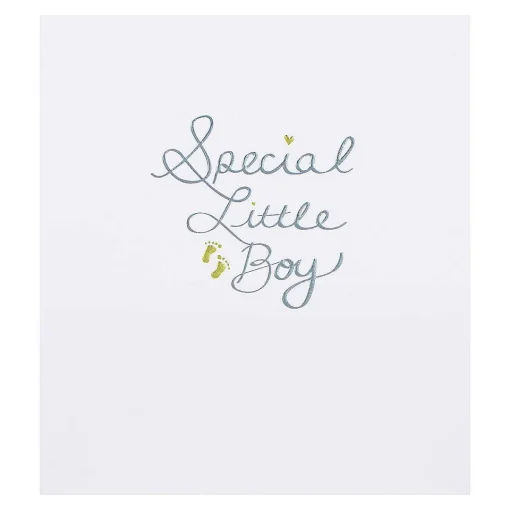 Mimosa Special Little Boy New Baby Card>Paperlink Discount