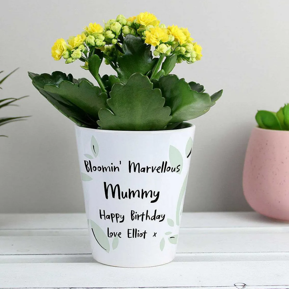 Personalised Plant Pot>Temptation Gifts Online