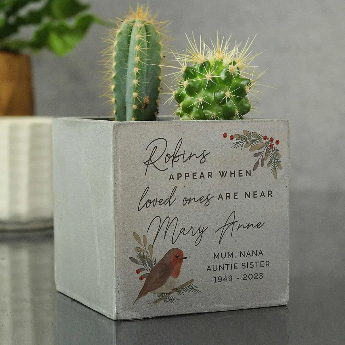 Personalised Robin Memorial Concrete Plant Pot>Temptation Gifts Shop
