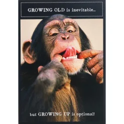 Animal Antics Chimpanzee 'Growing Up Optional' Birthday Card>Pigment Hot