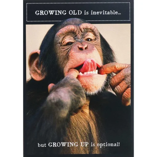Animal Antics Chimpanzee 'Growing Up Optional' Birthday Card>Pigment Hot