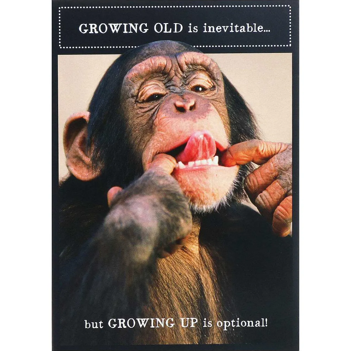 Animal Antics Chimpanzee 'Growing Up Optional' Birthday Card>Pigment Hot