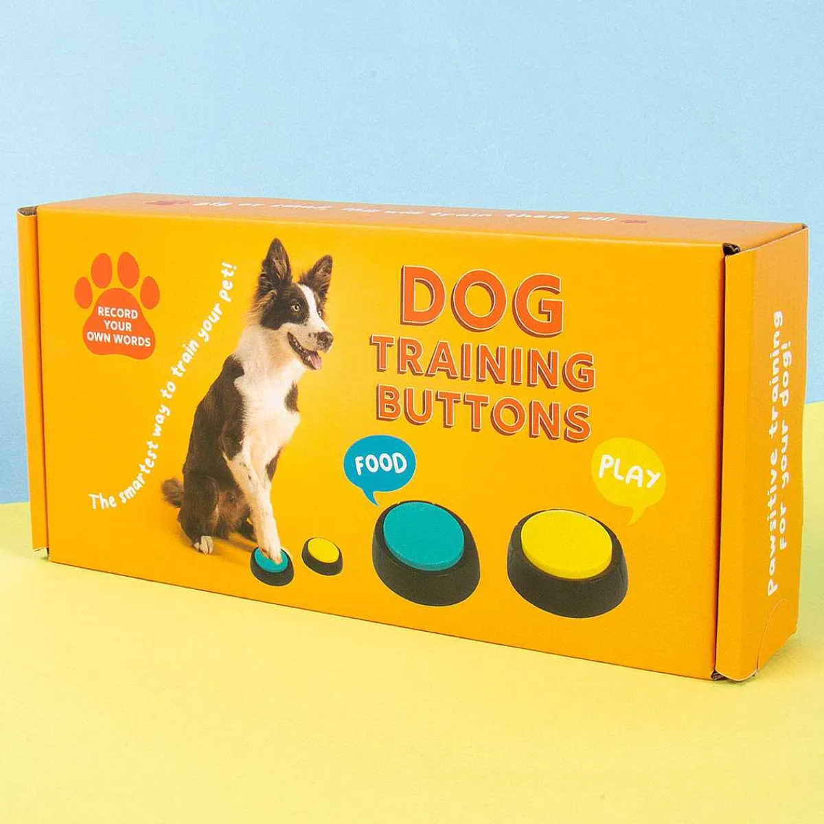 Recordable Dog Training Buttons>Temptation Gifts Fashion