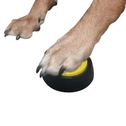 Recordable Dog Training Buttons><noscript><img width=