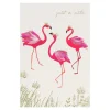 Flamingos Set Of 10 Notecards>Sara Miller New