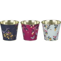 Orchard Set Of Three Plant Pots><noscript><img width=